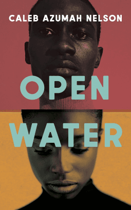 film poster for Open Water